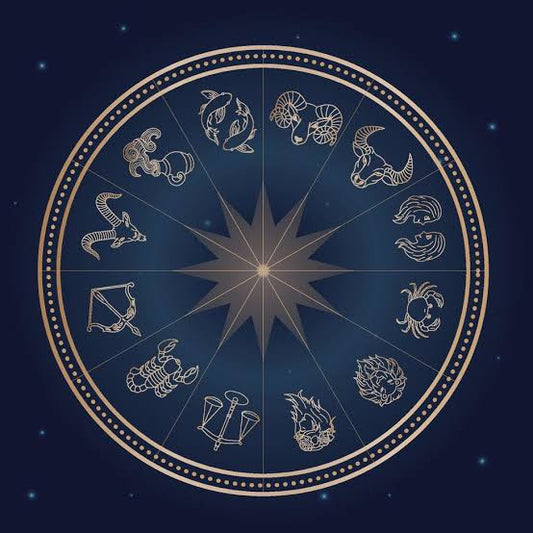 Soul Dog Adoption Chart